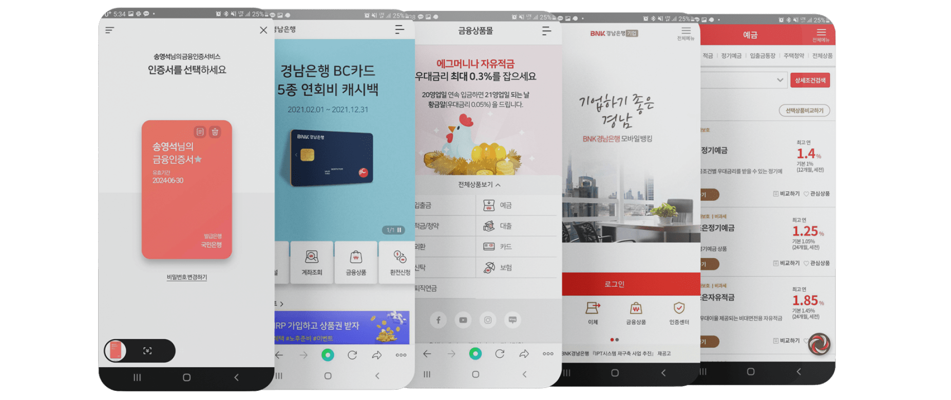 모바일 앱/웹 뱅킹 개발 업무